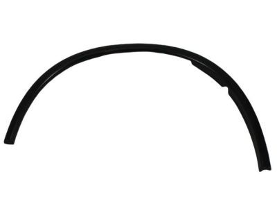 Dodge 1RK20TZZAC MOLDING Wheel Opening Flare