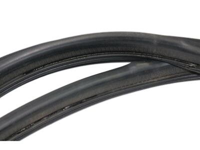 Mopar 55394040AF Seal Front Door