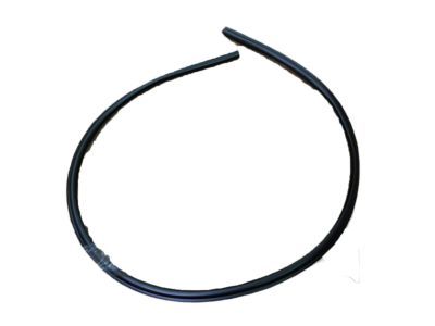 Chrysler 4805346AA Reveal Molding