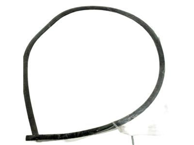 Chrysler 4805346AA Reveal Molding