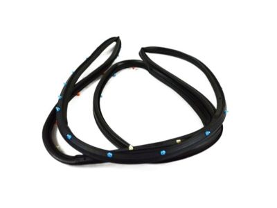 Jeep 68103092AB WEATHERSTRIP Rear Door Opening