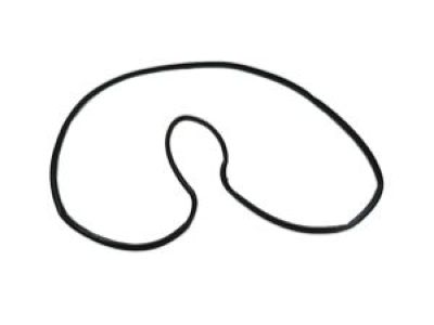 Jeep 68103092AB WEATHERSTRIP Rear Door Opening