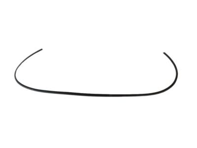 Jeep 5116398AI WEATHERSTRIP Front Door Body Mounted