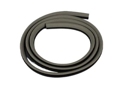 Dodge 1DA06BD1AJ Weatherstrip On Body