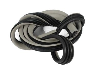 Dodge 1DA06BD1AJ Weatherstrip On Body