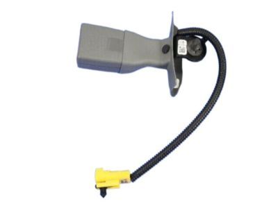 Dodge 1GX911D5AA Buckle End