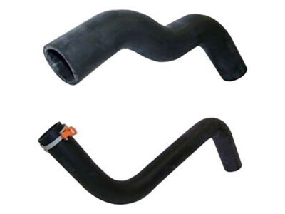 Jeep 55116863AC Lower Hose