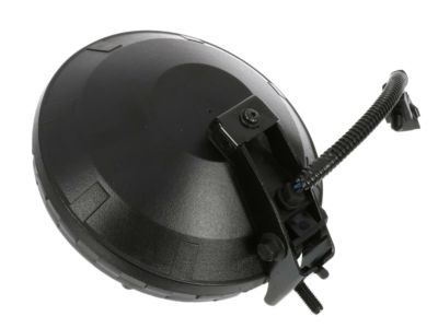 Jeep Fog Light - 55055095AG