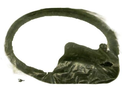 Chrysler PT Cruiser Door Seal - 5067157AD