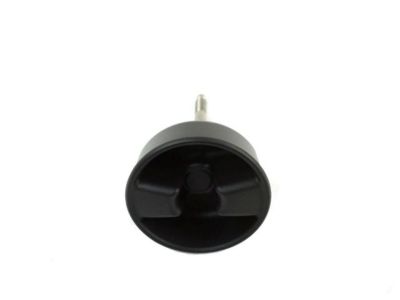 Mopar 1CJ57DX9AC Knob Targa Top Mounting