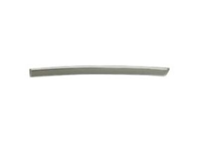Chrysler Sebring Door Moldings - 68040238AA