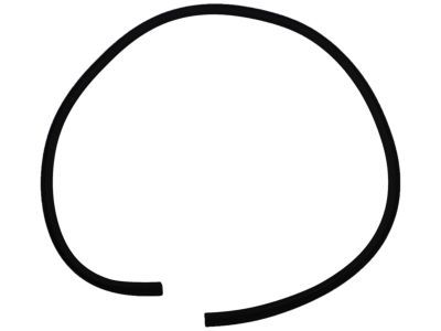 Dodge 55275460AD Weatherstrip