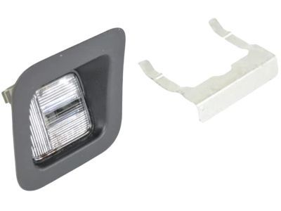 Dodge 55078095AA LAMP License Plate