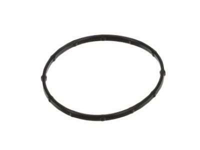 Jeep 68223608AA O RING Large