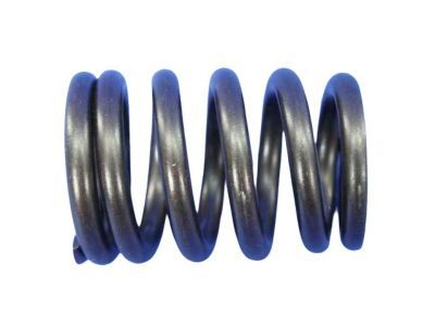 Jeep 53010388 Valve Springs