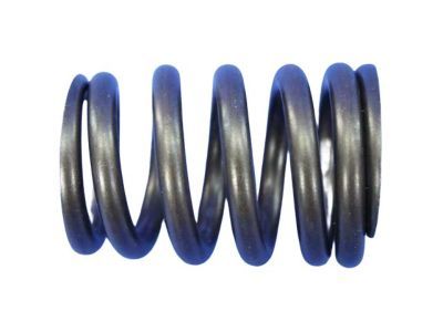 Jeep 53010388 Valve Springs