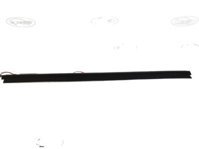 Jeep 55399208AA WEATHERSTRIP Front Door Belt Inner Inner