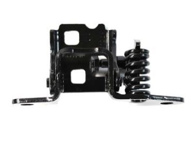 Chrysler 55360919AD HINGE ASSY Lower Door