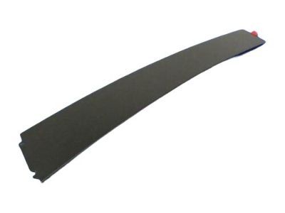 Dodge 57010428AB APPLIQUE Rear Door