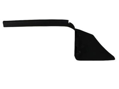 Ram 1DX69DK2AD Sill Plate