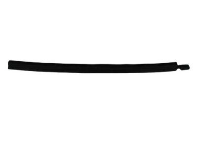 Dodge 55277215AA Lower Seal
