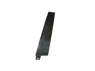 Chrysler 4806309AA APPLIQUE Rear Door