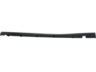 Dodge 1QA50TZZAF Rocker Molding