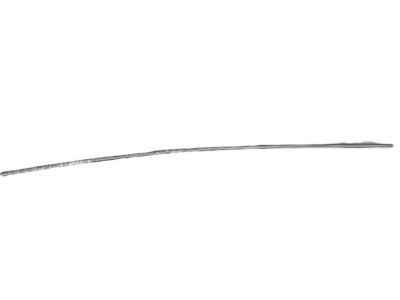 Chrysler 1DZ14DBMAB MOLDING Roof