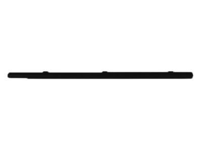 Dodge 55276203AE WEATHERSTRIP Door Belt
