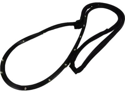 Mopar 68039975AG Weatherstrip Front Door Mounted