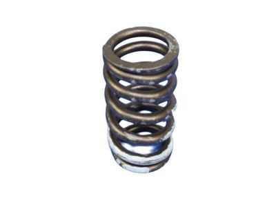 Jeep 53021056 Valve Springs