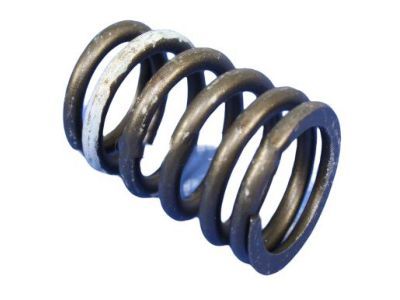 Jeep 53021056 Valve Springs
