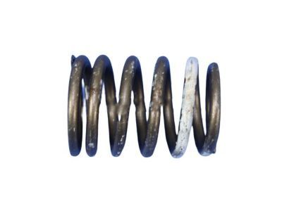Jeep 53021056 Valve Springs