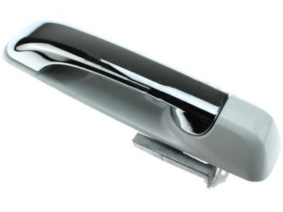 Ram 1GH261W7AD HANDLE Exterior Door