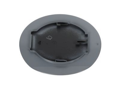 Dodge Fuel Door - 68090634AC