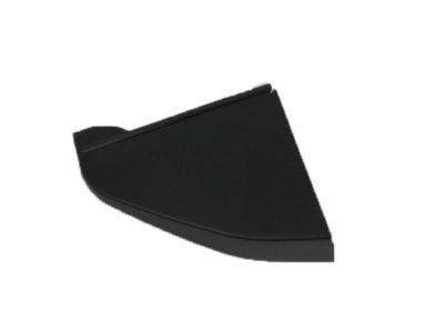 Chrysler Town & Country Door Moldings - 5028903AA