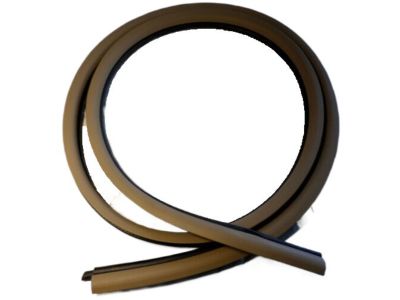 Chrysler Concorde Door Seal - TE68RK5AG