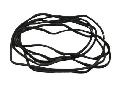 Mopar 68085076AC Weatherstrip Body Side Body Mounted