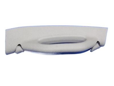 Dodge 1AR41ES3AH Grip Handle