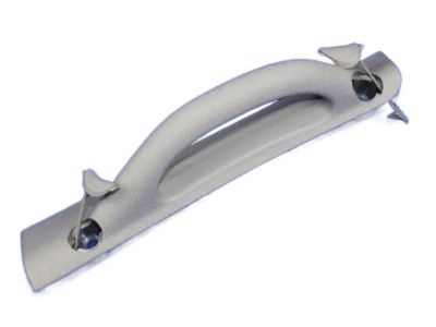 Dodge 1AR41ES3AH Grip Handle