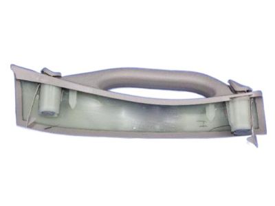 Dodge 1AR41ES3AH Grip Handle