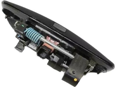 Mopar 1MZ85KBXAH Handle Front Door Exterior