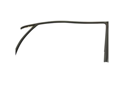 Mopar 68156227AD Weatherstrip, Door Glass