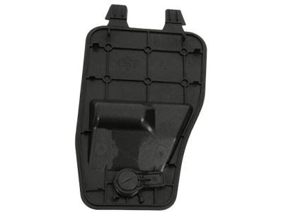 Chrysler 68248175AA DOOR Access