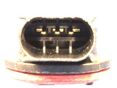 Jeep 68004162AA SOCKET Tail, Stop, and Turn Lamp