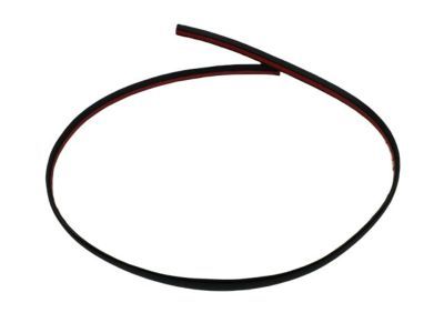 Dodge WU04RXFAF Roof Molding