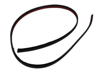 Dodge WU04RXFAF Roof Molding