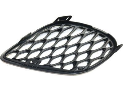Dodge 68280492AA Lamp Cover
