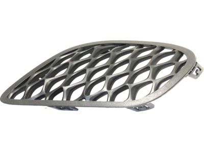 Dodge 68280492AA Lamp Cover