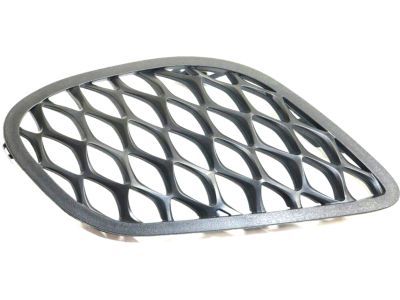 Dodge 68280492AA Lamp Cover